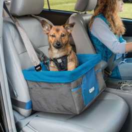 5 Tips for Safe Travel with your Pets