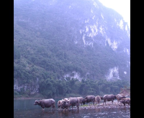 China River Li 14