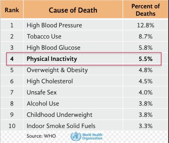 oh my god twitter doesn’t include alt text from images in their API