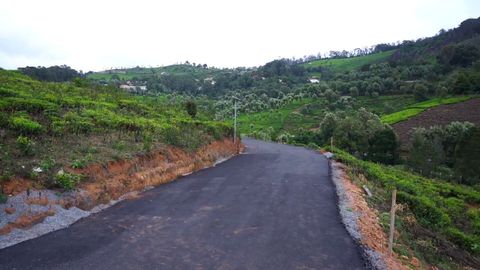 Road to Plot 3