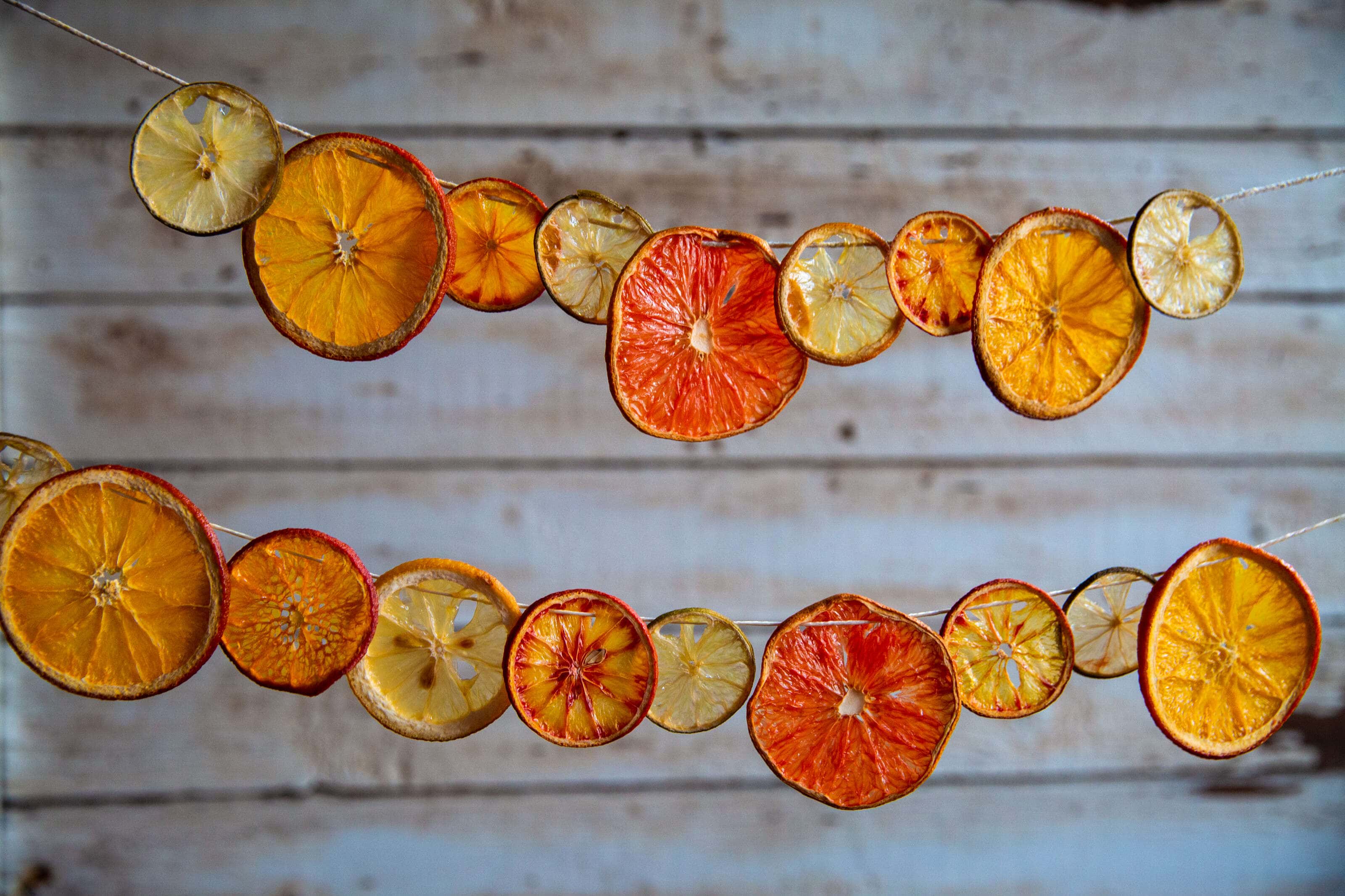 dried citrus fruit hanging on a string