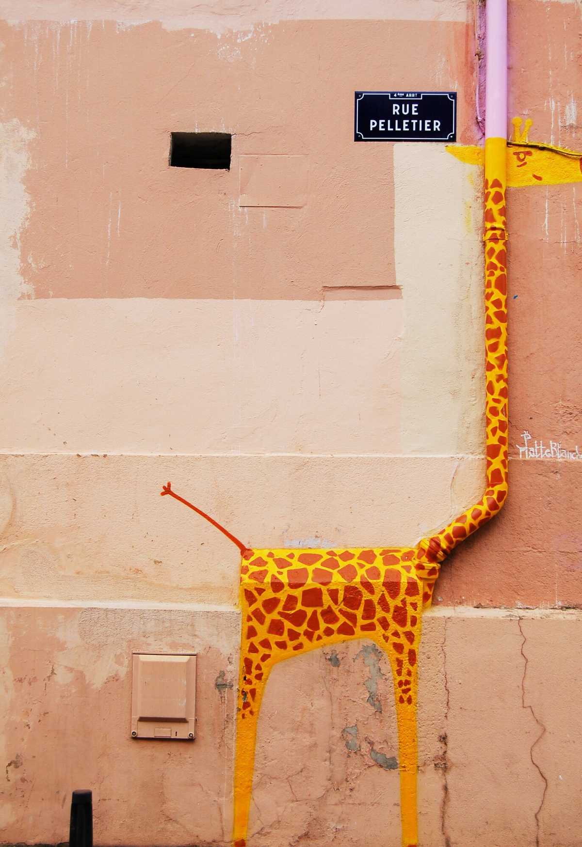 Dynamically-typed giraffe roaming the streets of Paris. Photo by Chris Barbalis.