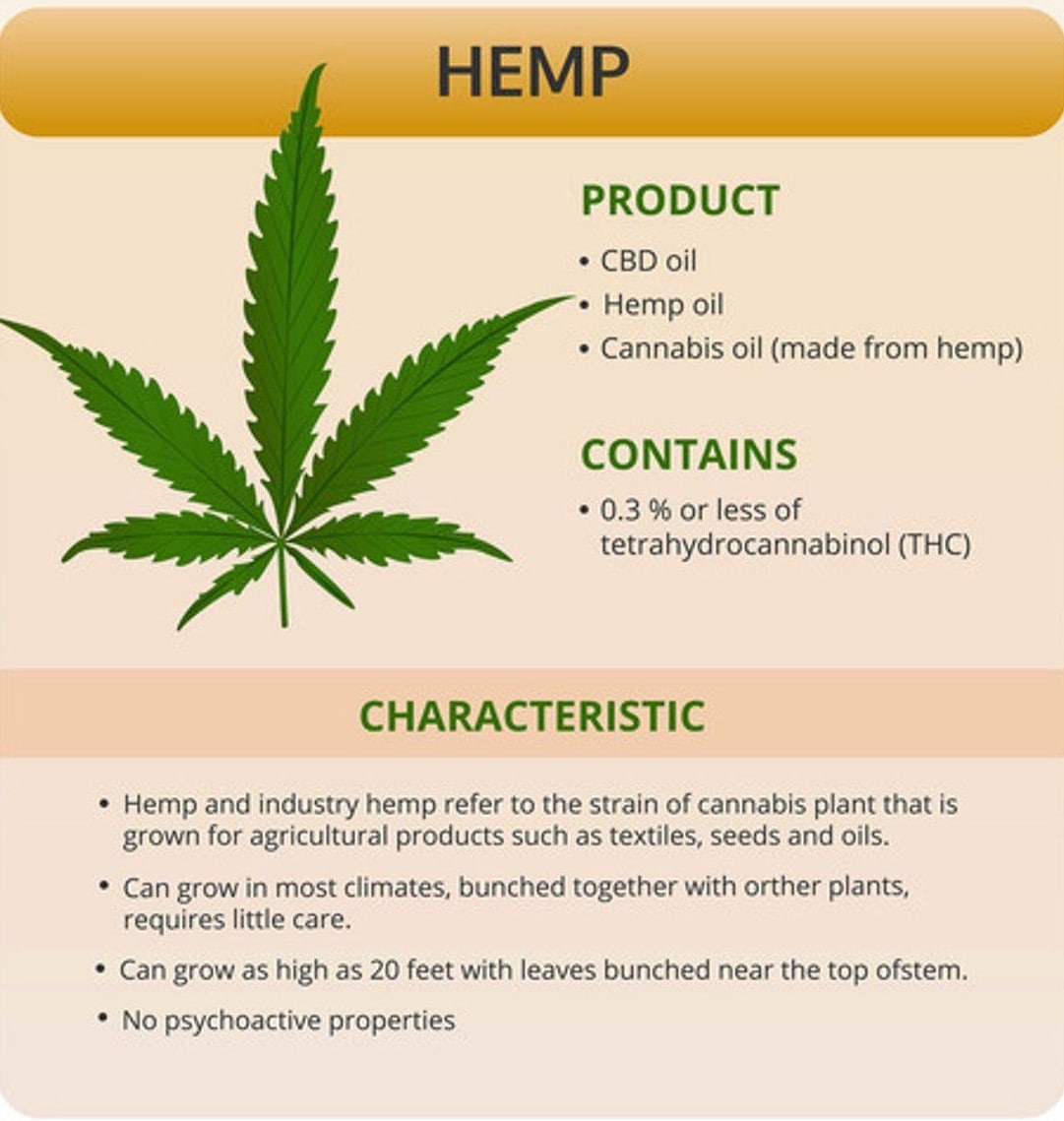 The Differences Between Marijuana and Hemp