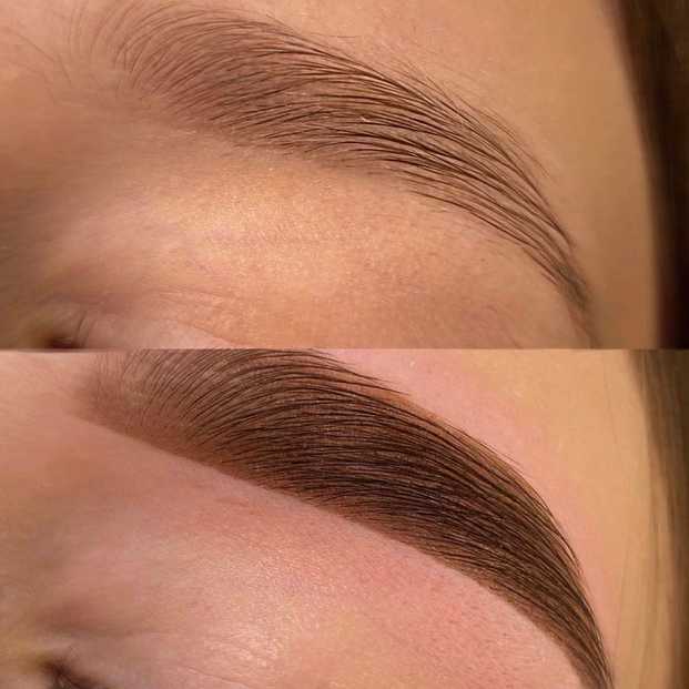 Henna Brow Tint Lash Love Beauty Bar