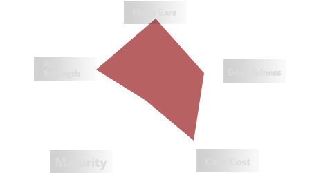 Radar chart of Ene’s personality traits