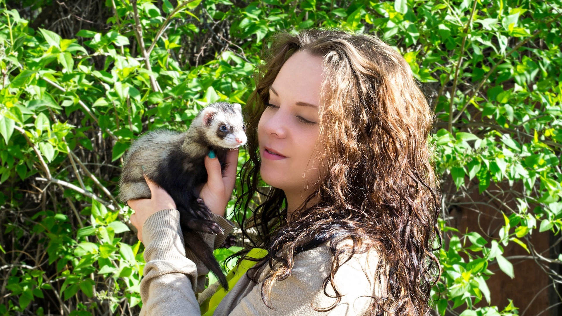 Are You Considering A Ferret?