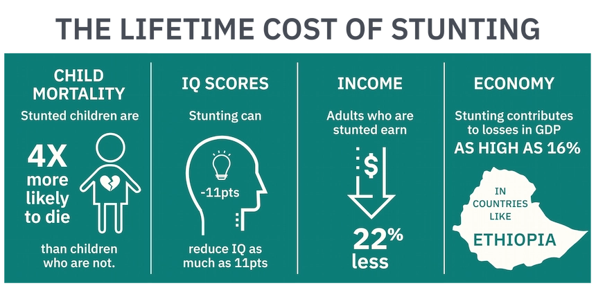 graphic showing the lifetime cost of stunting
