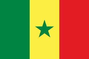 Senegal country flag