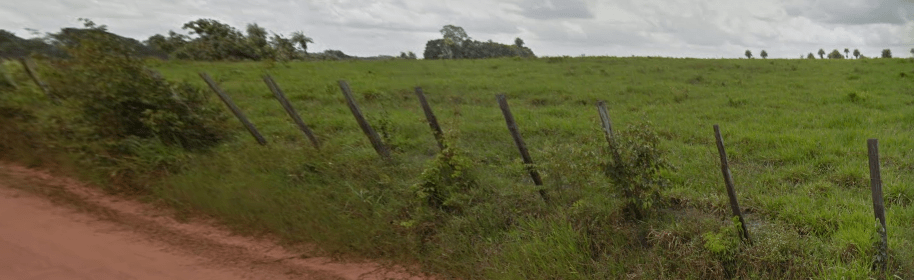 rudimentary fence