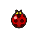 Ladybug