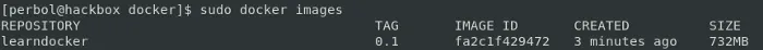 Using the build command,Output with a size of 732 MB
