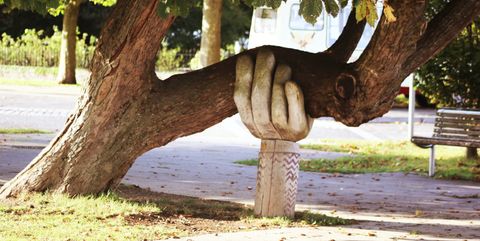 A large, carved, wooden hand
supporting a tree that has nearly fallen over
