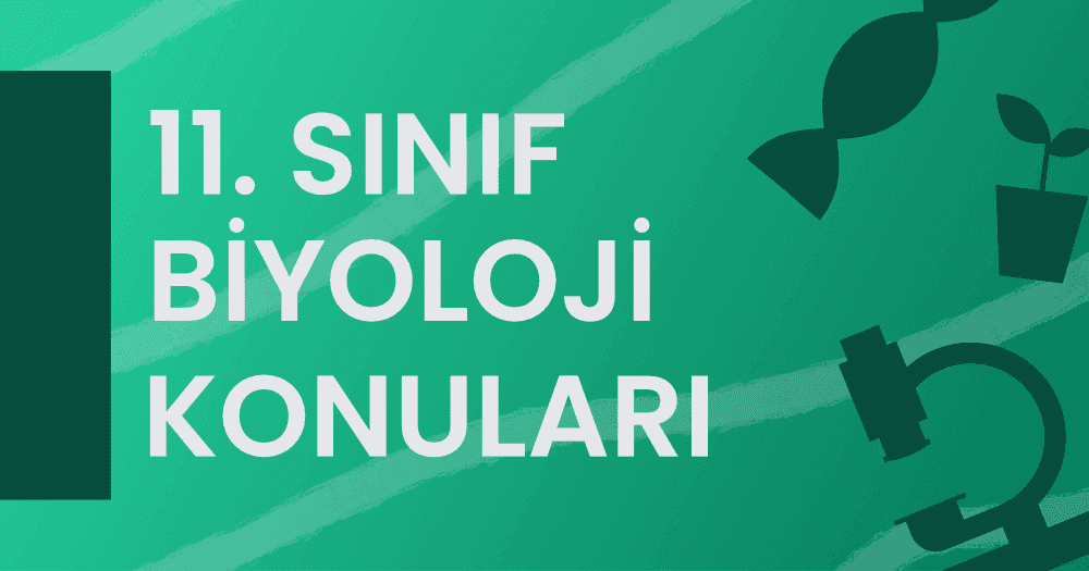 11. Sınıf Biyoloji Konuları