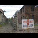 Auschwitz 10