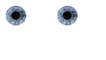 Iris Analytics Logo