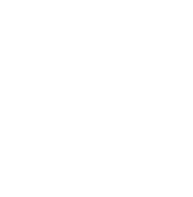 testicle