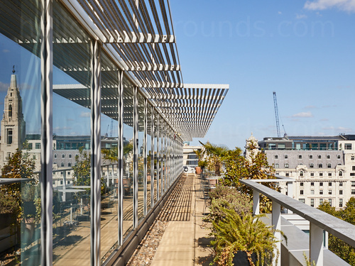 Urban building balcony lined with plants and windows reflecting city buildings Google Meet background
