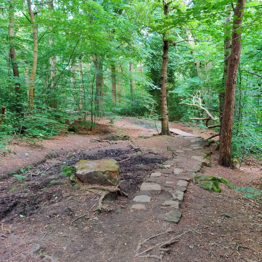 Stone path through Scotland Wood