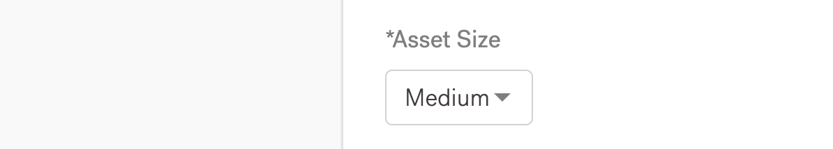 Asset Size