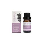 Lavender Bud Essential Oil