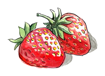 Illustration of two Strawberries