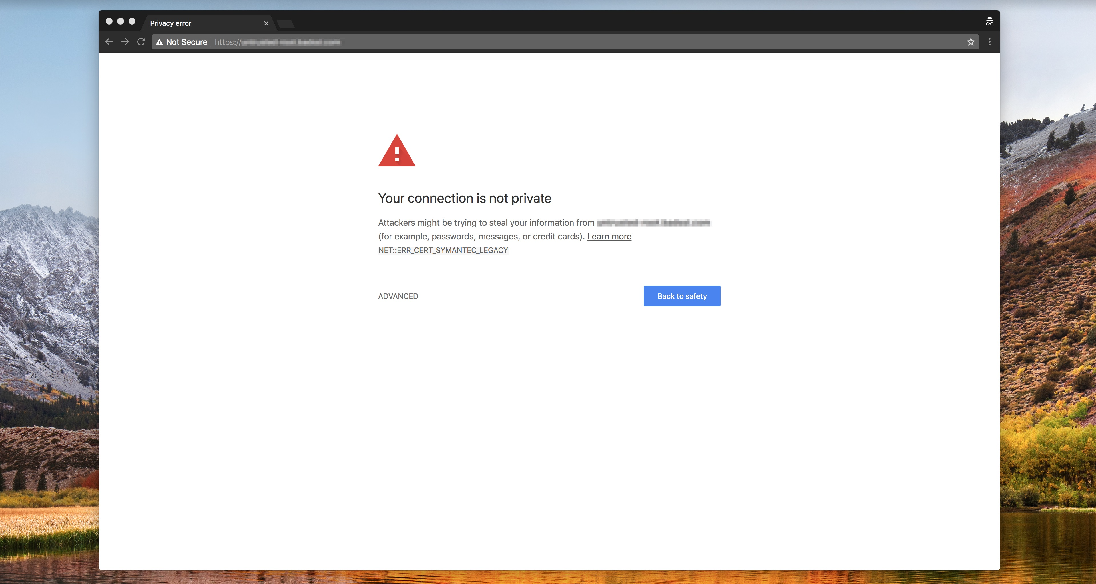 Screenshot of Google Chrome 70s warning page