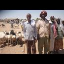 Somalia Animal Market 3