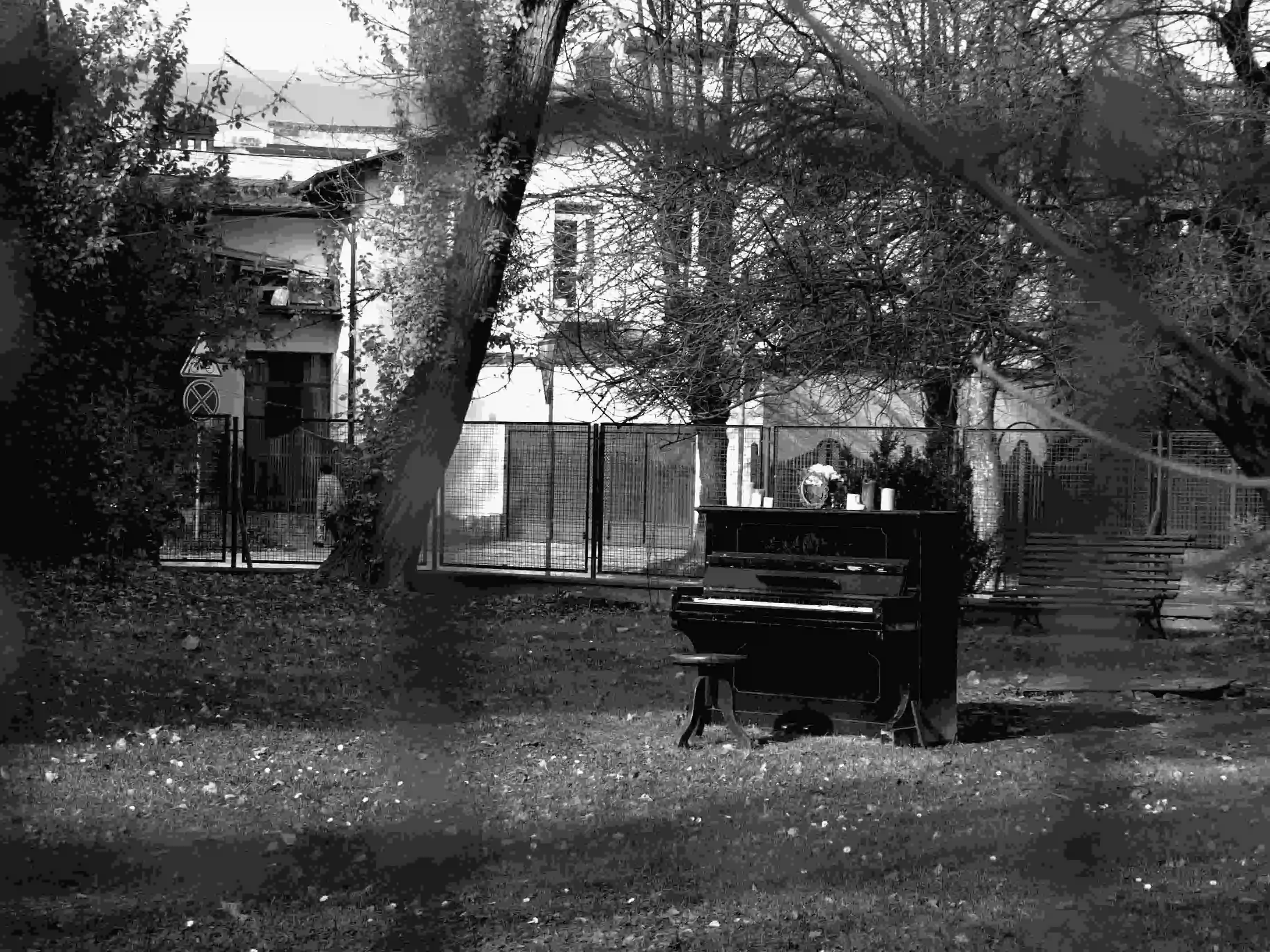 photo of a piano in a field