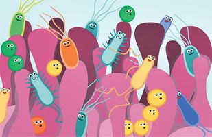 microbiote intestinal