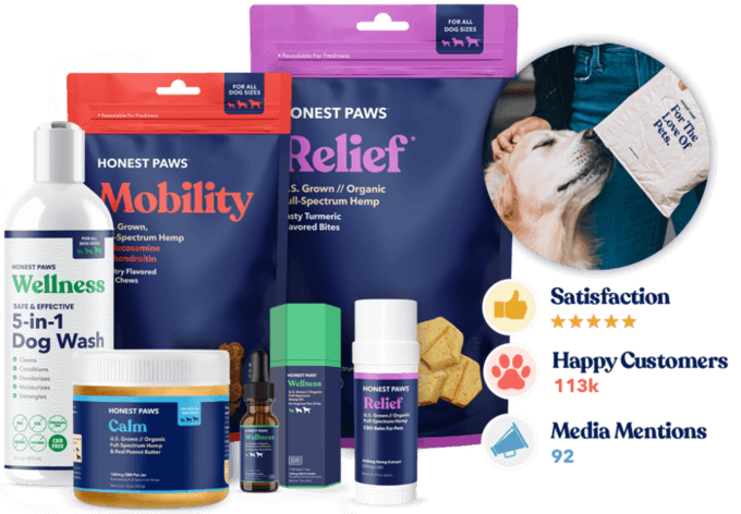 The #1 Rated Cbd Oil And Treats For Dogs 