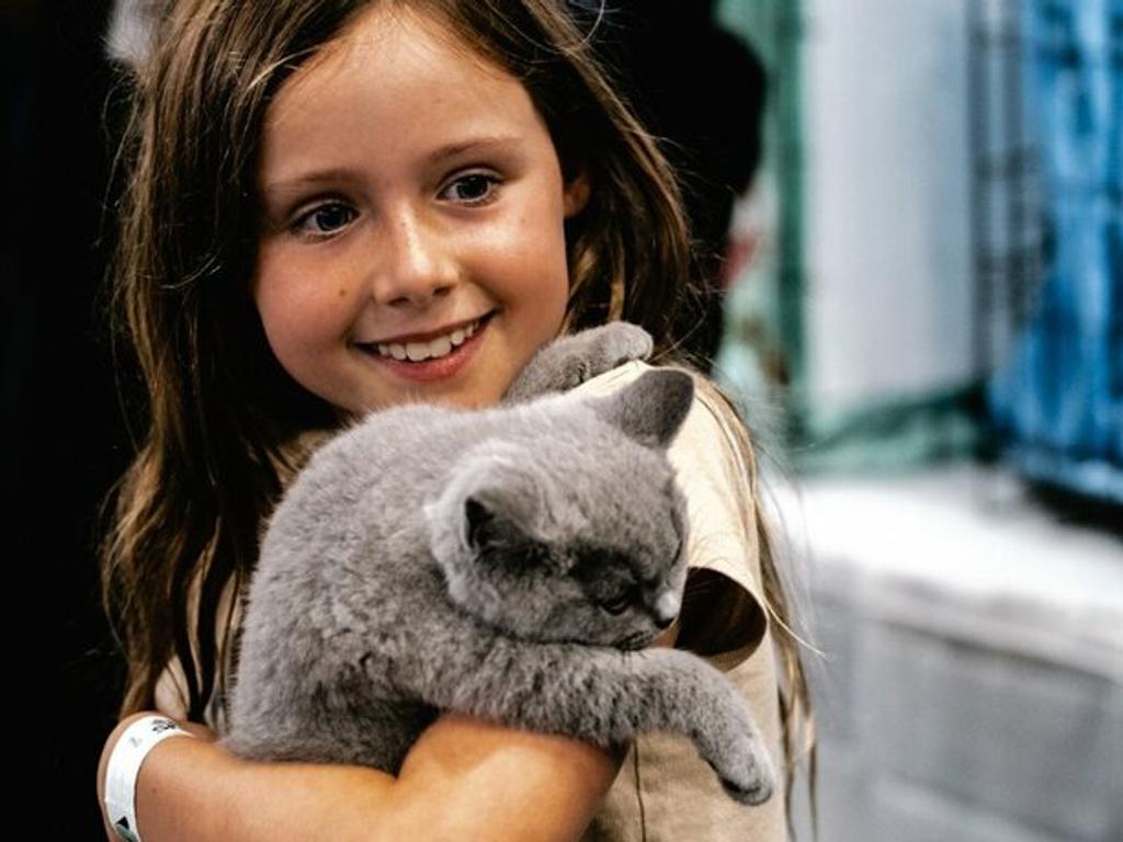 The Pet Show 2023 UpNext