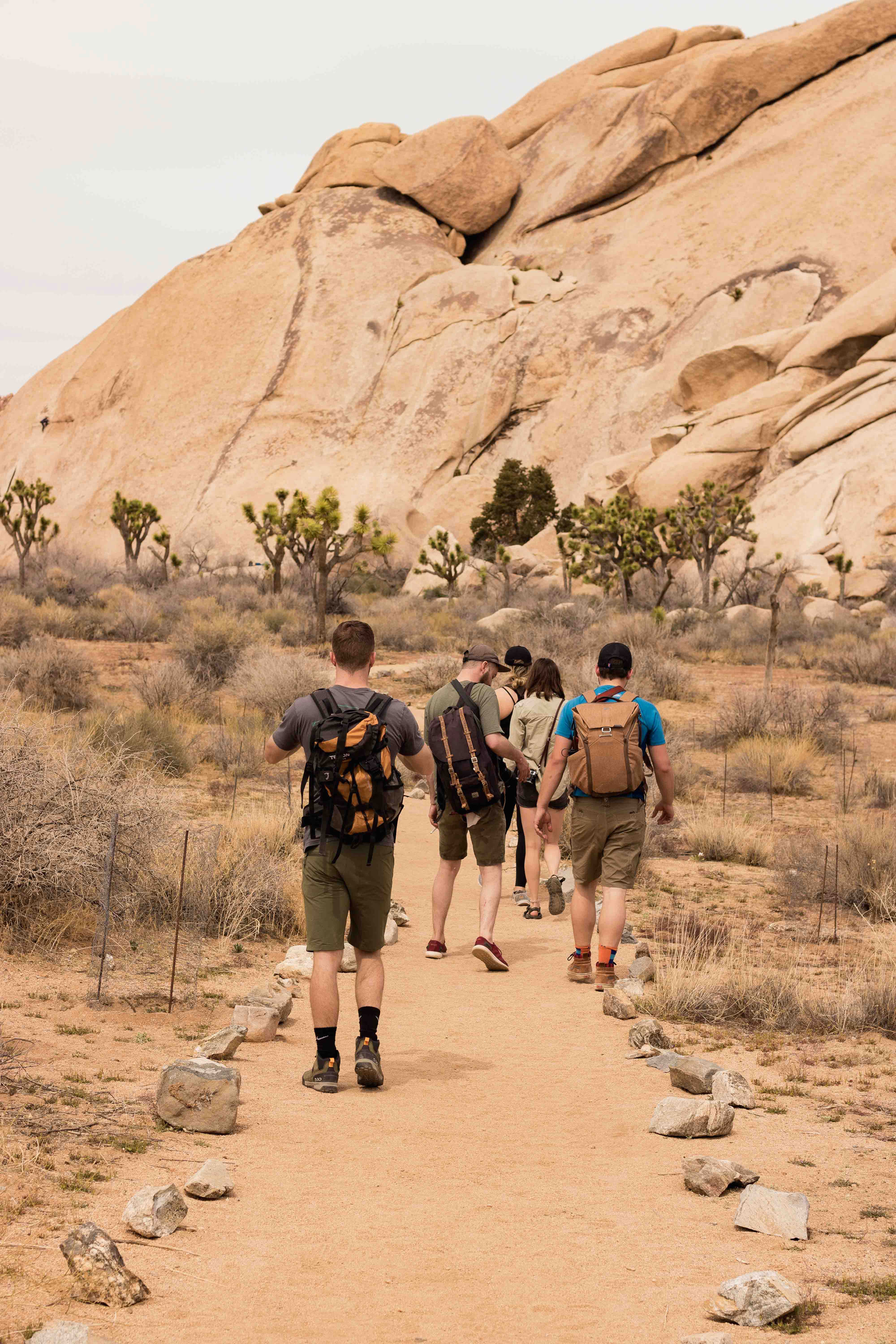 Group hiking in desert