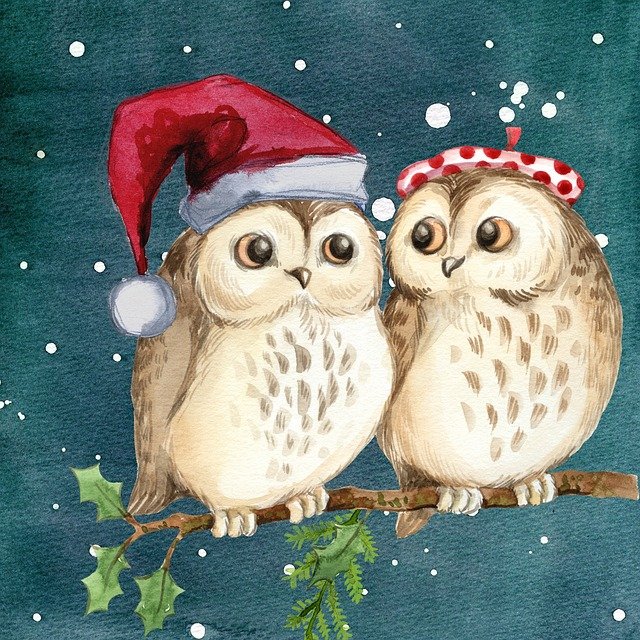 Christmass - Merry Christmass Owls