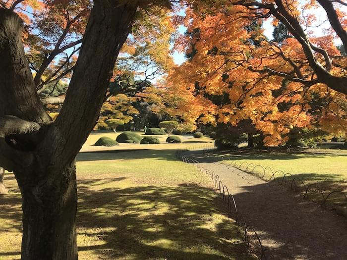 Tokyo garden