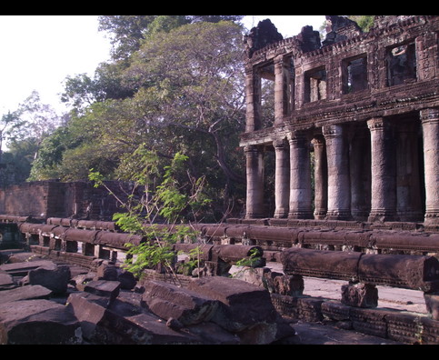 Cambodia Jungle Ruins 21