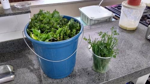 Educação ambiental em escola da capital mineira é um exemplo a ser seguido 5 undefined