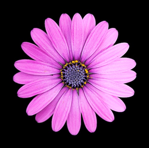 Defining Moments in Database History