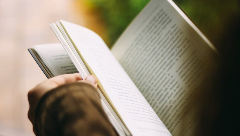 Imagem em destaque para o artigo: 6 livros sobre meio ambiente que você precisa conhecer