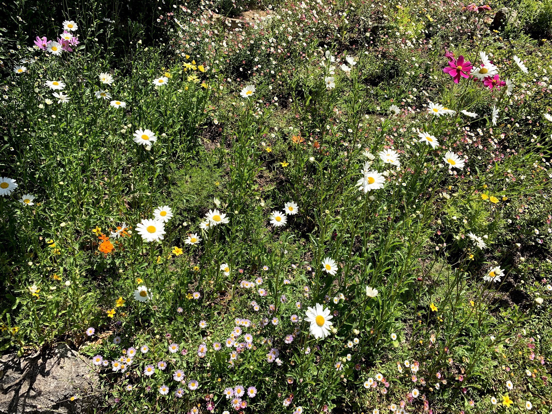 Smell the flowers