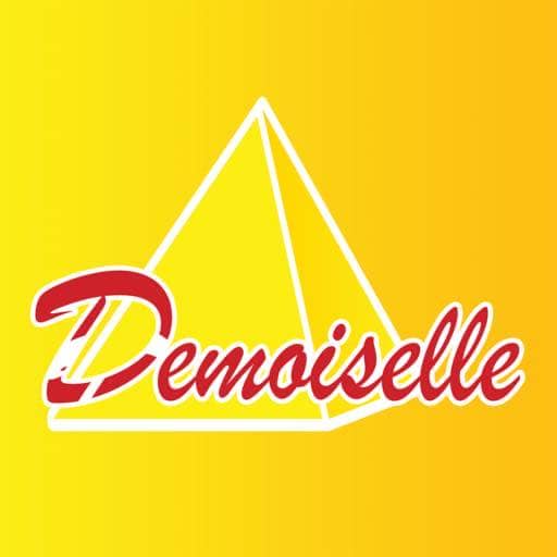 Logo Demoiselle FM