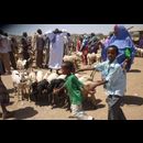 Somalia Animal Market 5