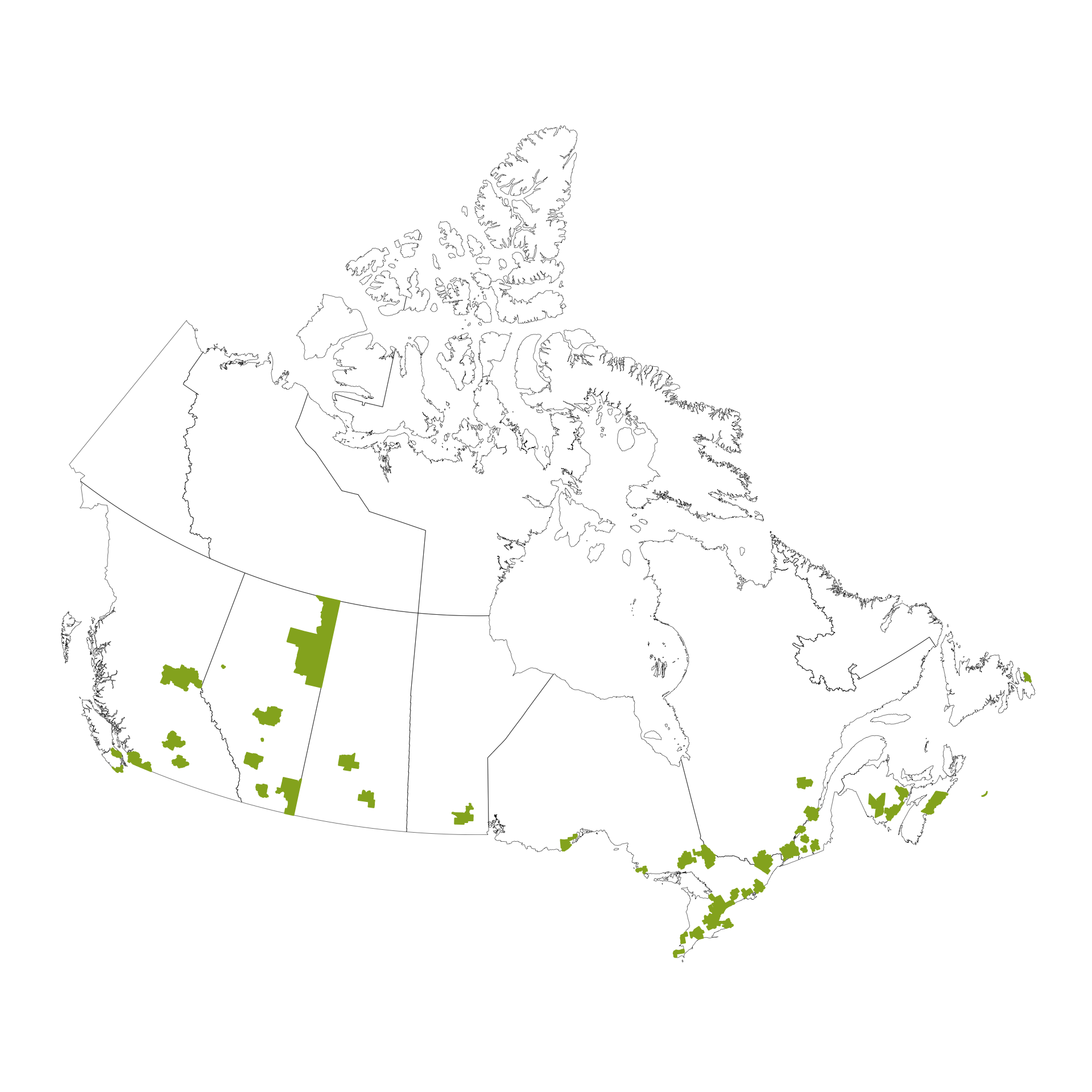 Amazon The Canadian Data