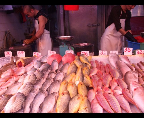 Hongkong Fish 1