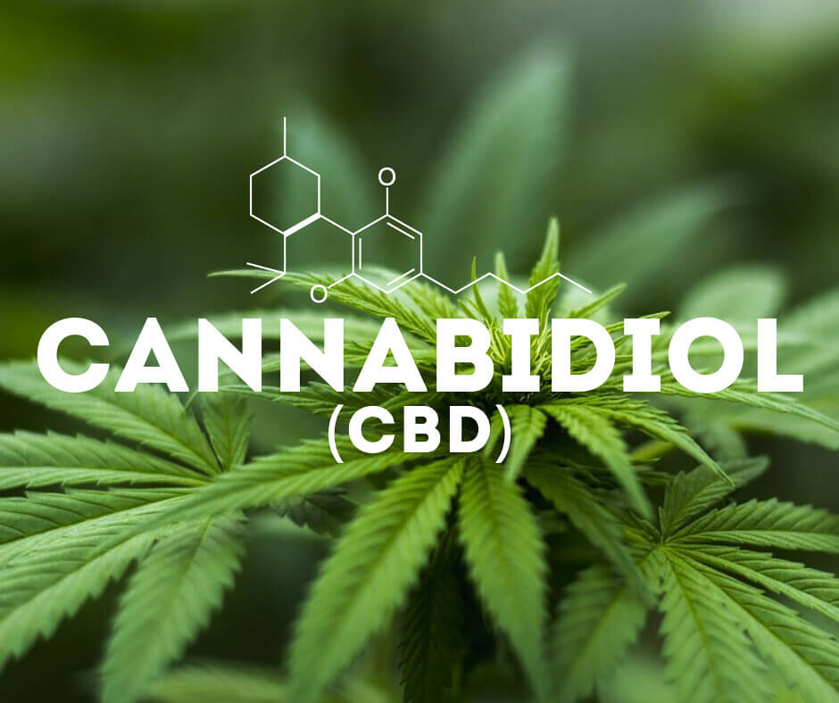 What Is CBD (Cannabidiol): The CBD Cannabinoid With MEdical Benefits