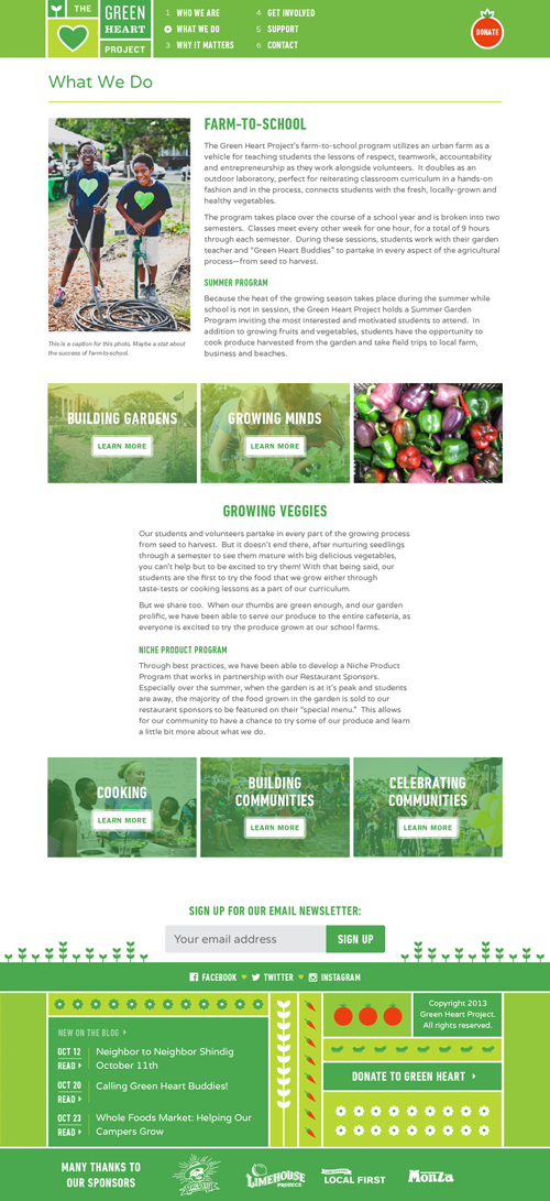Screenshot of What We Do page on The Green Heart Project website