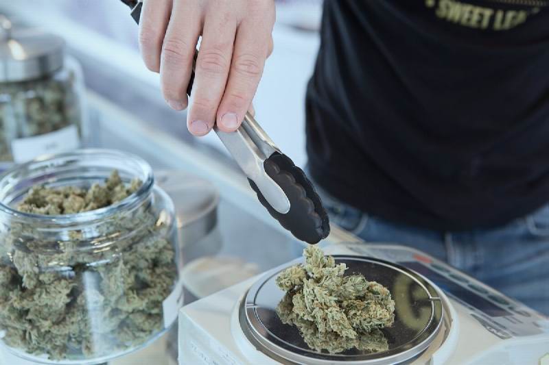 Where to Find Cannabis Jobs in Australia