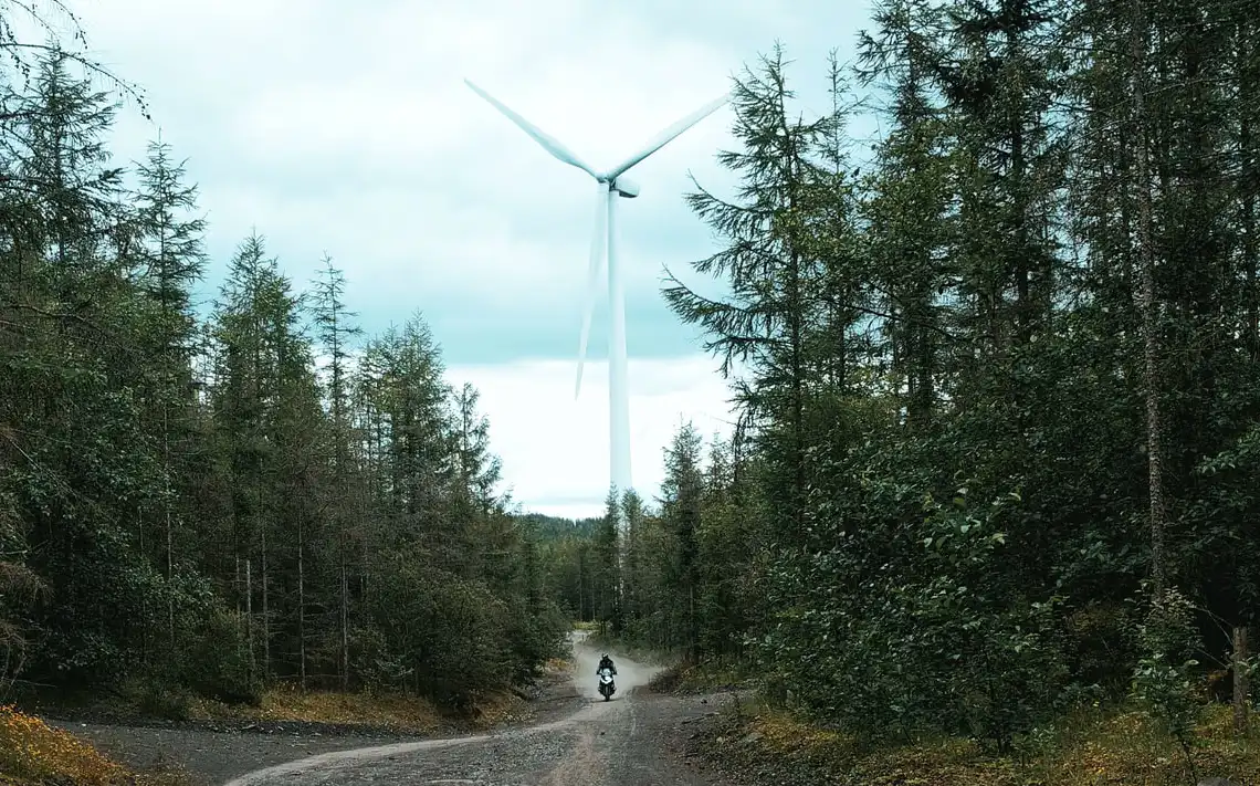 Wind turbine in the breacon forest