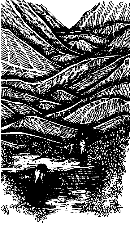 a creek and mountains.