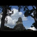 Guatemala Tikal 10