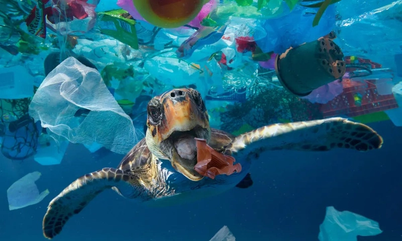 https://www.theguardian.com/environment/2020/oct/06/more-than-14m-tonnes-of-plastic-believed-to-be-at-the-bottom-of-the-ocean